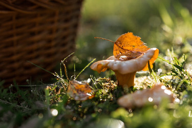 Similar image 21539968