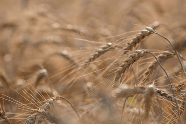 Similar image 21539969