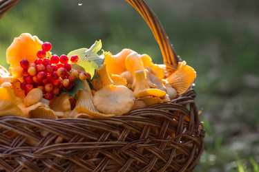 Similar image 21539970