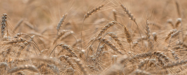 Similar image 21539971