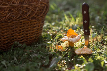 Similar image 21539972