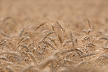 Similar image 21539973