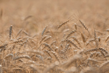 Similar image 21539975