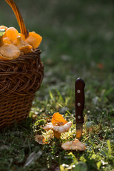 Similar image 21539976