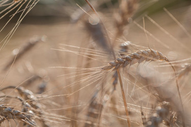 Similar image 21539977