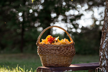 Similar image 21539978