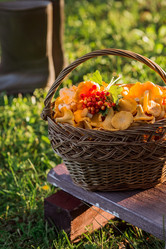 Similar image 21539981