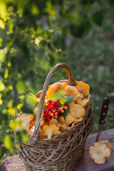 Similar image 21539984