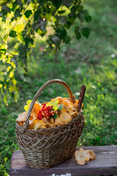 Similar image 21539986