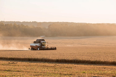 Similar image 21539987