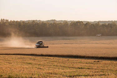 Similar image 21539989