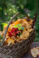 Similar image 21539990