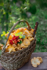 Similar image 21539992