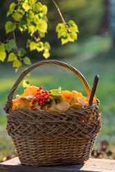 Similar image 21539994