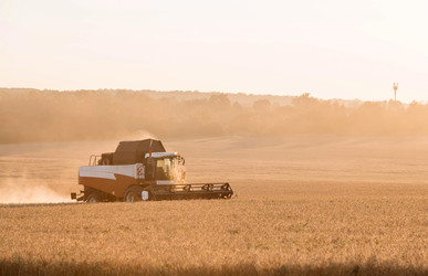 Similar image 21539995