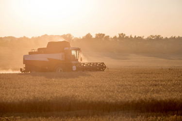 Similar image 21539815