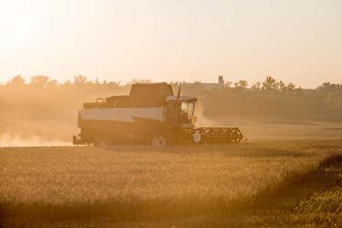 Similar image 21539818