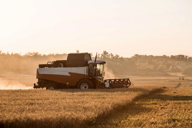 Similar image 21539820