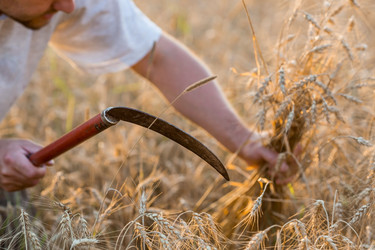 Similar image 21539821