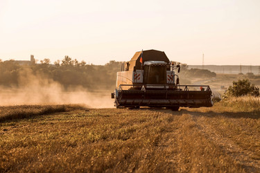 Similar image 21539822