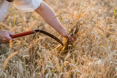 Similar image 21539823