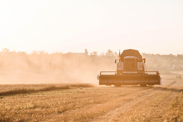 Similar image 21539824