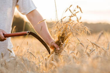 Similar image 21539825