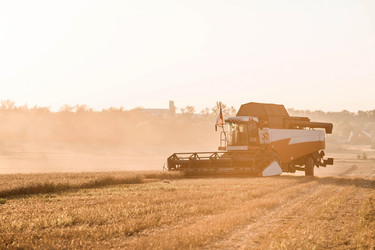 Similar image 21539826