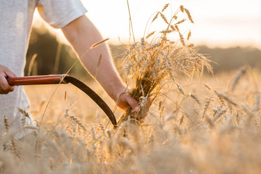 Similar image 21539827