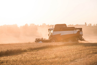 Similar image 21539828