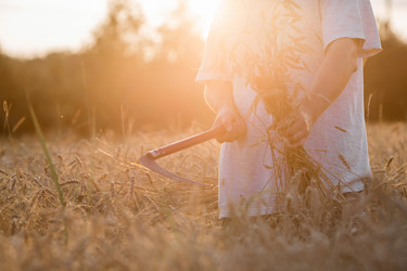 Similar image 21539829