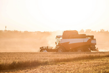 Similar image 21539830