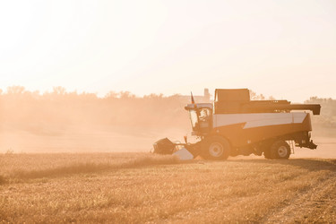 Similar image 21539832