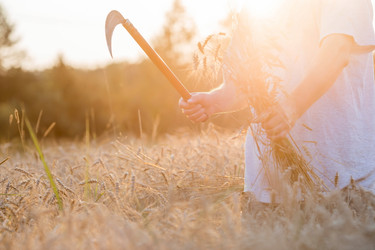 Similar image 21539833