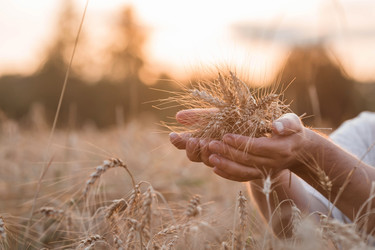 Similar image 21539835