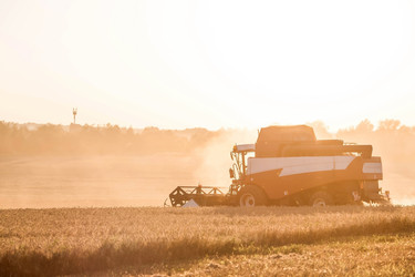 Similar image 21539836