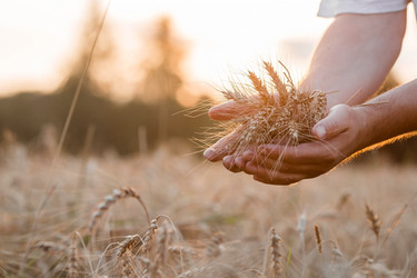 Similar image 21539837