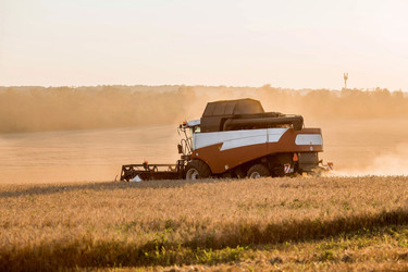 Similar image 21539838