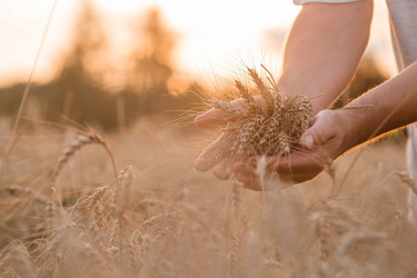 Similar image 21539839