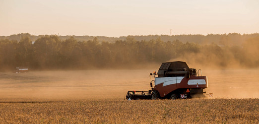 Similar image 21539840