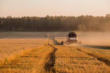 Similar image 21539842