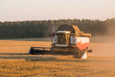 Similar image 21539844