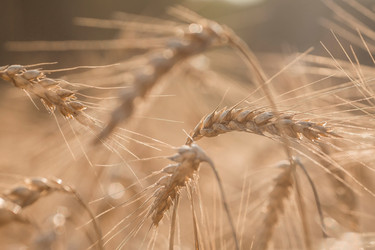 Similar image 21539846