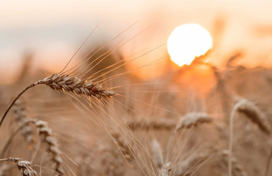 Similar image 21539847