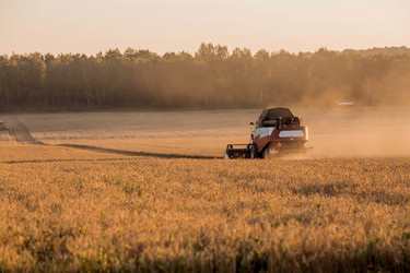 Similar image 21539848