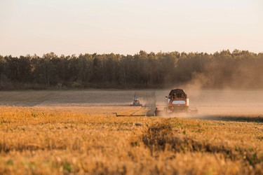 Similar image 21539850