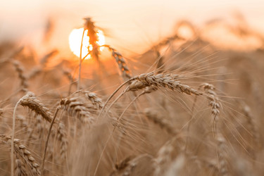 Similar image 21539851