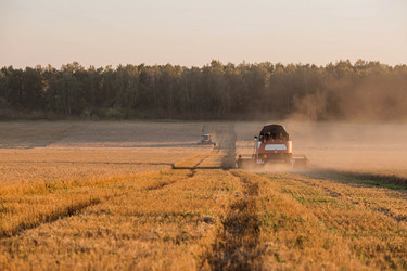 Similar image 21539852