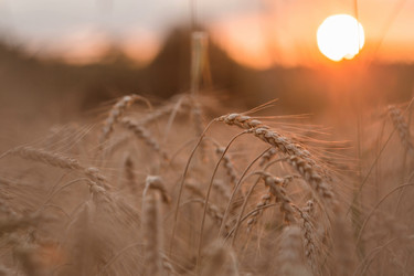 Similar image 21539853