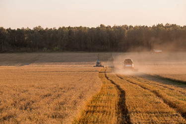 Similar image 21539854